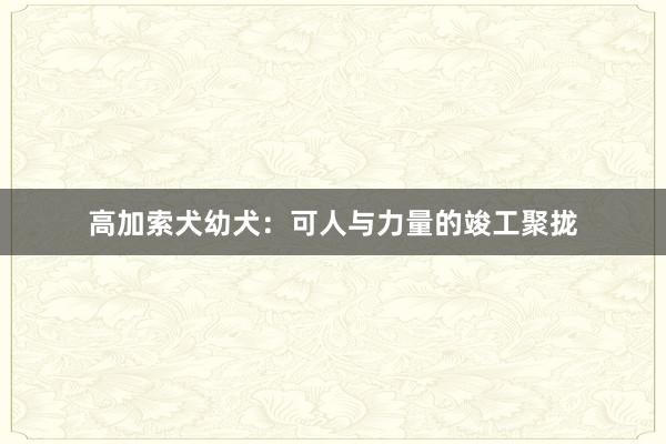 高加索犬幼犬：可人与力量的竣工聚拢